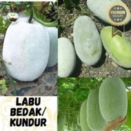 Buah Labu Kundur Segar