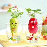 GACHAPIN x MUKKU 水耕栽培盆器種植組