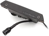 Original Fishman REP Rare Earth Microphone Hybrid Pickup Guitar Pickup