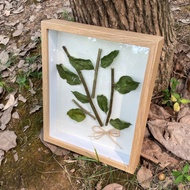 Khung ảnh để bàn hoặc treo tường BẢO HÀNH GÃY VỠ các size 10x15 13x18 15x21 A4 (21x30) TẶNG KÈM chân