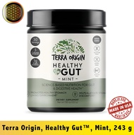 Terra Origin Healthy Gut Mint 8.68 oz (222 g) - [EXP 06/2027]