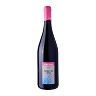 BRUNO VERDI SANGUE DI GIUDA DOC 750ML
