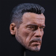 [High-End] DJ-CUSTOM NO-16004 1/6 Terminator Arnold Elderly T800 Head Carving