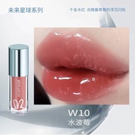 HYNTOOR Black Rabbit Macaron Lip Glaze #10 Matte Lip Oil 2g Long-lasting Moisturizing Natural Color 