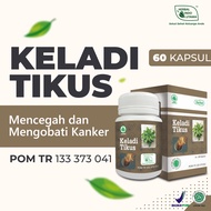 Kapsul Keladi Tikus Obat Kanker Alami Herbal Indo Utama isi 60 Kaps