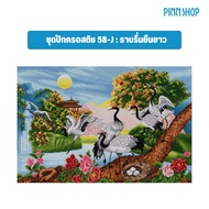 PINN SHOP ชุดปักครอสติช 58-J : ราบรื่นยืนยาว