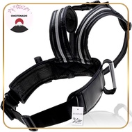 Phoenix Tandem Belt / Touring Safety Belt / Bike Motorcycle / Child / Two-seater / With Handle <45 D