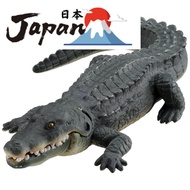 【Direct from Japan】Ania AS-08 Nile crocodile