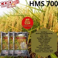 Benih Padi Unggul HMS700 / Bibit Padi Unggul HMS700 1kg