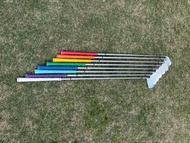 日本Mutsumi Honma全套鐵桿 Iron set - VERY FORGIVING