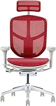 Ergohuman2 EJ2-HAM-GF-RD 429793 ENJOY High Type Nylon Caster with Red Mesh/Gray Frame