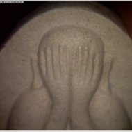 phra pidta pim lang tao turtle back Lp toh wat phradu chimpli jumbo kesorn nur bailan  powder 2521-2