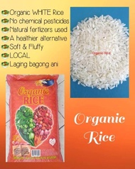 Organic Rice (25kg)