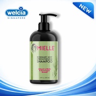 Mielle Shampoo Strengthening Mask / Hair Oil Rosemary Mint 355 ml