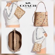 🍓 春夏 田園風格🍓CB602 Coach Mollie Bucket Bag 22 🍓Strawberry Print🍓CB602 Mollie 水桶包 草莓圖案 bucket bag