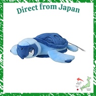 Direct From Japan Pokémon Center Original 564 Plushie Pokémon fit Protoga 6 x 17 x 17 (H x W x D:cm)
