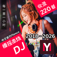 最新DISCO/ KTV夜店舞曲精选 USB U盘 华语DJ慢摇神曲 220首 DJ YE/ AK/ DEXTER/ T3RENCE 2018 - 2026年 慢摇舞曲 慢摇歌 摇头歌 让你Kick翻