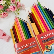 Pencil colour (Little lamb) Jumbo TRIANGULAR Colour pencil/12L pencil colour