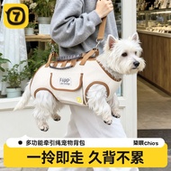 Pet Outing Bag Convenient Small Dog Puppy Dog Walking Bag Dog Outing Bag Messenger Dog Bag Cat Pet B