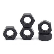 Grade 8 Hex Nut (Black) Hex Nut High Strength Nut M2/M2.5-M30