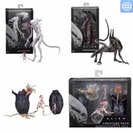 NECA Alien Alien Alien Alien Alien Alien Alien Egg Alien Egg Joint Movable Model Box