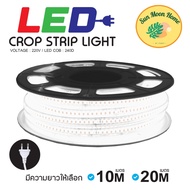 ไฟตกแต่ง LED COB Strip Light ความยาว10เเละ20เมตร รุ่น TSM-SL10TSM-SL20