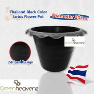 GHZ - Lotus Flower Pot Water Lily No Hole Pots Size 20cm Selection Pasu Teratai