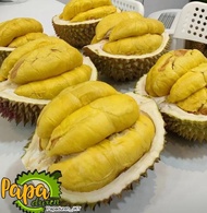 Durian Fresh Musang King - Utuh Bulat Ukuran 1.5 - 2.5 Kiloan