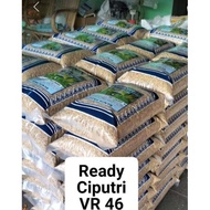 Benih Bibit Padi Ciputri / Ciherang Malay Panjang Kemasan 5Kg