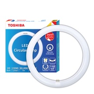 TOSHIBA หลอดกลม LED MAGNETIC CIRCULAR 20 วัตต์ แสงสีขาว ติดตั้งแทนนีออนกลม 32W ไฟกลม ไฟ LED DAYLIGHT G10q BETTERLIGHT