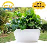 FY self watering pot flower pot vege pot flower vase home vegetable planting large plant green radish