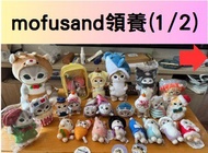 領養mofusand 貓咪