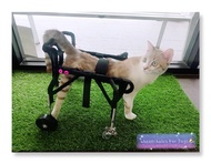 วีลแชร์สุนัข แมว  สำหรับพิการขาหลัง ขนาดไซส์ XS. สัตว์เลี้ยง รถเข็น wheelchair dog **ติดต่อร้านค้าก่อนสั่งซื้อ**โดยสัตวแพทย์