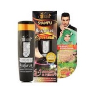 SYAMPU IKAL LURUS V ASIA💯% ORIGINAL HQ