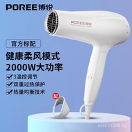 Anion Hair Care Borui Household2000w Hair Dryer High Power Electric Hair Dryer Strong Wind FRBY