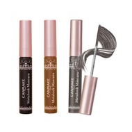 CANMAKE METALOOK MASCARA Iron Rod x 1 Piece abcmall