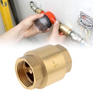 Solid Brass Non Return One Way Horizontal Check Valve Vertical In-line Water Spring Check Valve 1-1/