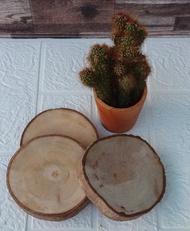 Tatakan kayu alami/Natural wood coaster/ wood slices/unik/tatakan gelas/cangkir