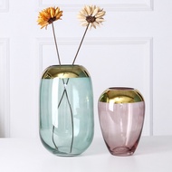 Simple Modern Creative Glass Vase Gold Hydroponic Vase Nordic Living Room Dining Table Home Decoration