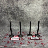 Engine Valve Intake & Exhaust Valve / In & Ex Valve Umbrella / Oil Valve & Fire Valve Hino Dutro HT1