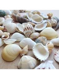1袋多色100克海貝,海螺,扇貝,海星家居裝飾,水族箱裝飾,攝影道具,海洋風格裝飾品