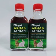 MINYAK ARNAB JANTAN!