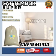 chat tembok 1 kg / cet kiloan 1kg murah gratis ongkir / cat tembok kiloan gratis ongkir /  cet tembo