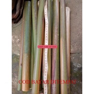 CHEAPEST combrang tree stem honje stem/ 1kg .. size 40cm-1m READY TO SHIP IMMEDIATELY