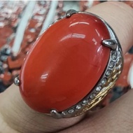 CINCIN TITANIUM PERMATA MARJAN MERAH ASLI GERMSTONE TITANIUM RING HIGH QUALITY