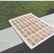 Coliseum Art Print A3(Pink)