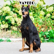 YAYEEO Pet Pincher Chain Metal Choke Pet Training Supplies Hot Snake Chain