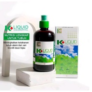 K Link Chlorophyll Original Liquid 100%