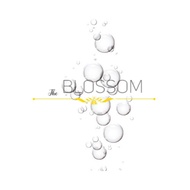 Preservative Paraben Free/ Cosmetic Preservative- For skincare, personal care & cosmetic making(anti