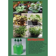 38ml Liquid Fertilizer Nutrient Solution Baja Concentrate Plant Nutrition Flower Houseplant ( Vitamin Thailand)